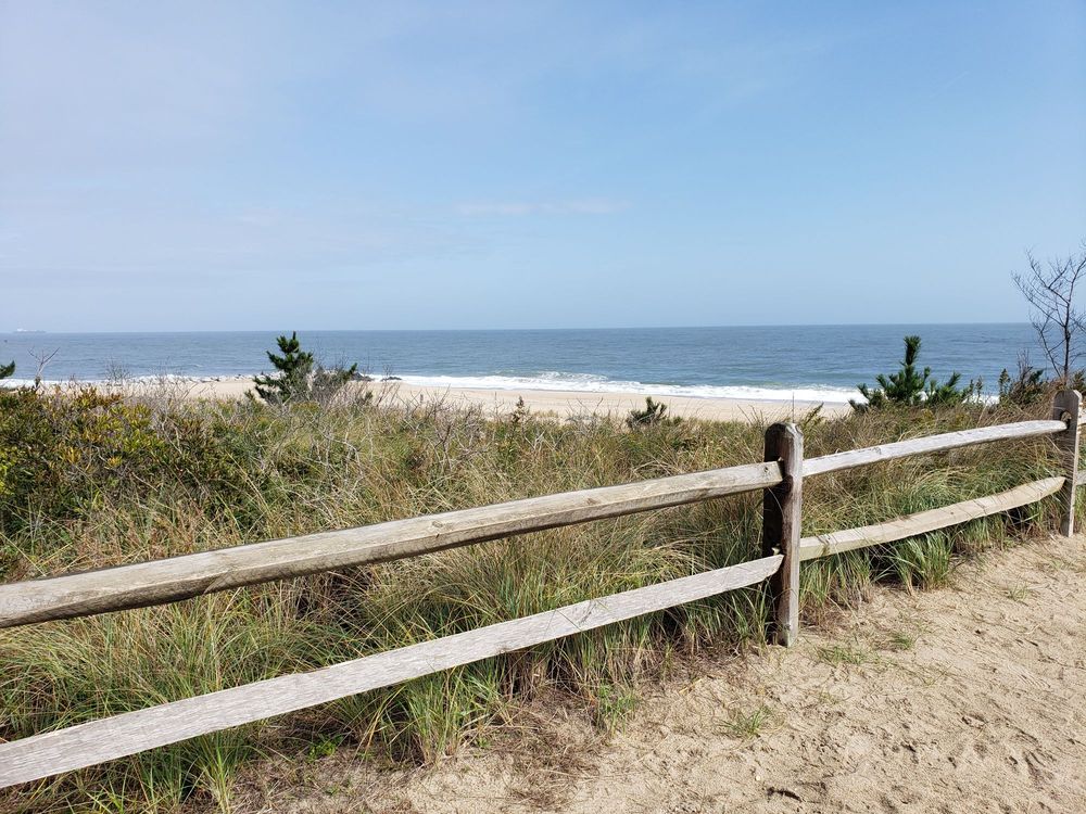 Cape Henlopen State Park